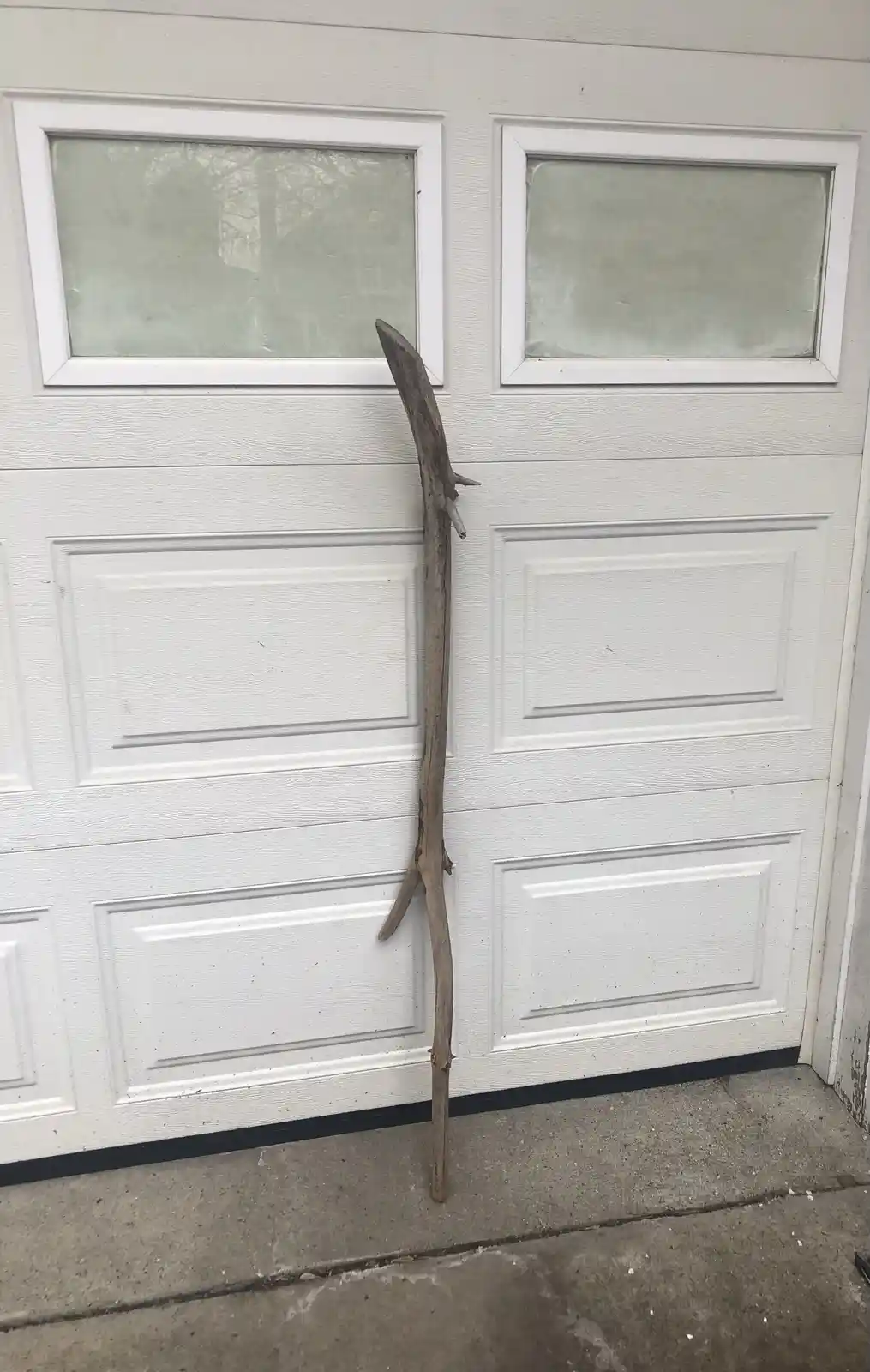 Just a Stick: The Simple Life