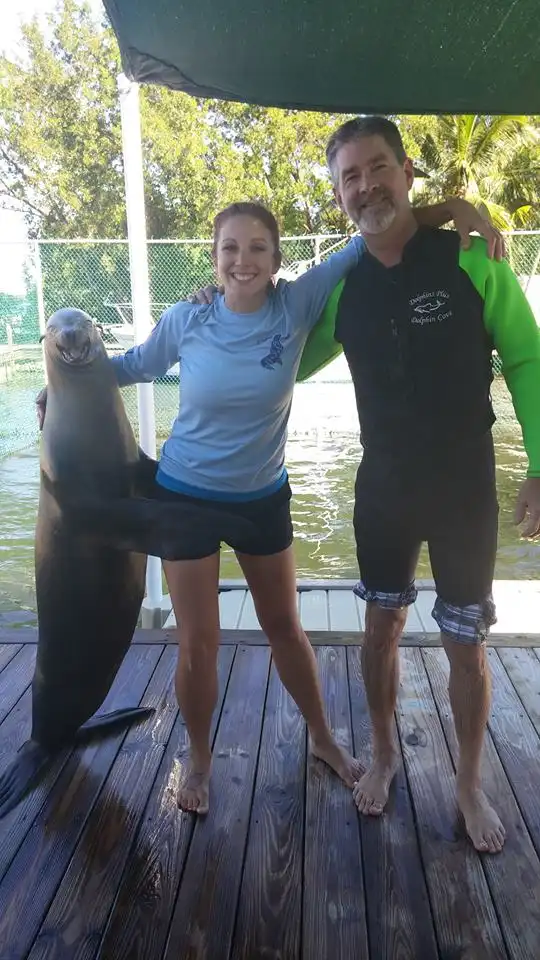 The Priceless Expression on That Seal's Face