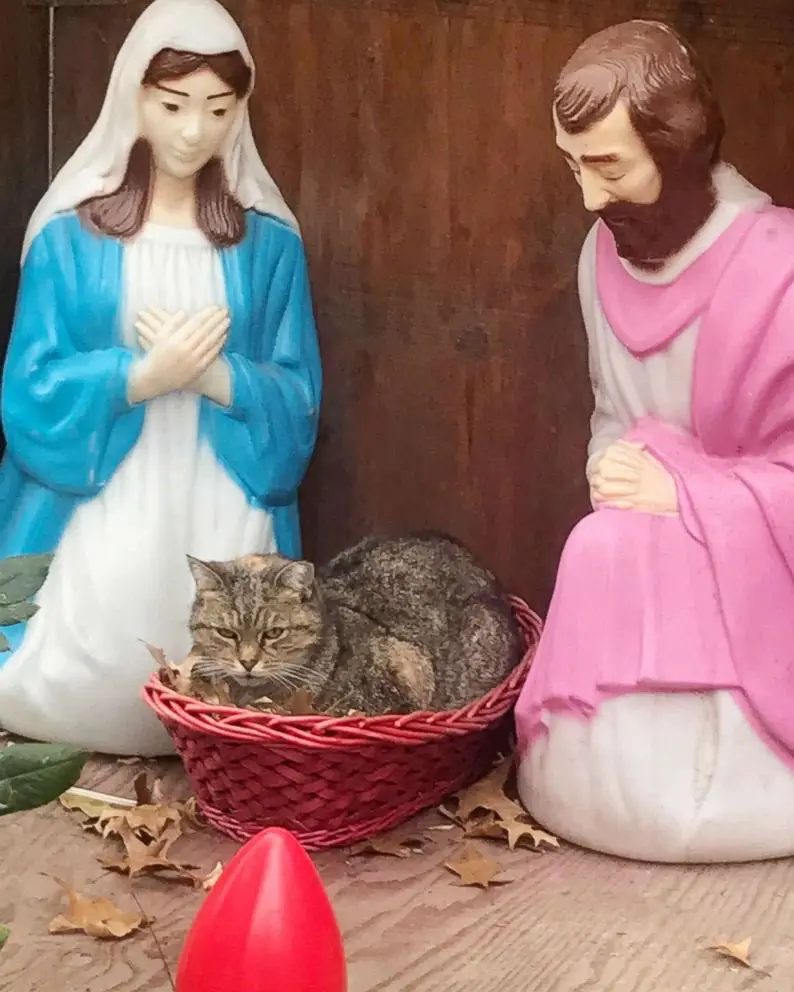 Larry, that's quite enough now!