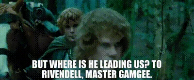 The Enigmatic Rivendell Elf