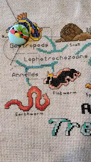 A close-up of a cross-stitch project depicting various invertebrates like snails, flatworms, and earthworms, each labeled…