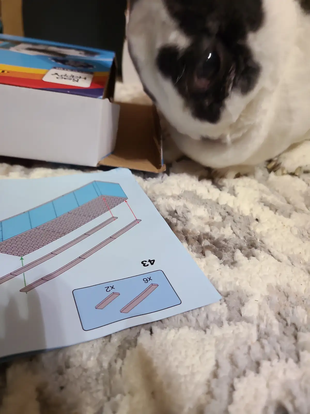 I’m Here to Help!