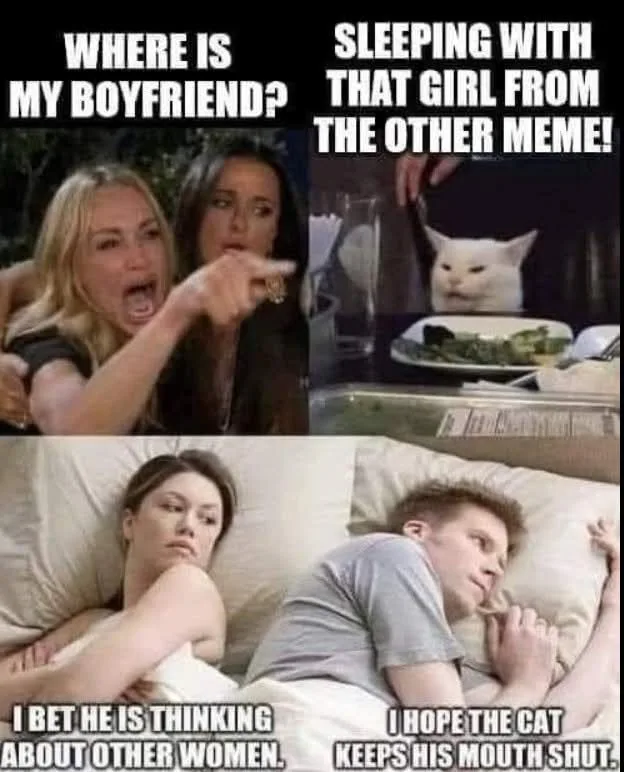 The image is a four-panel meme combining scenes from TV shows and a cat photo. Top left: a woman yelling 'WHERE IS MY…