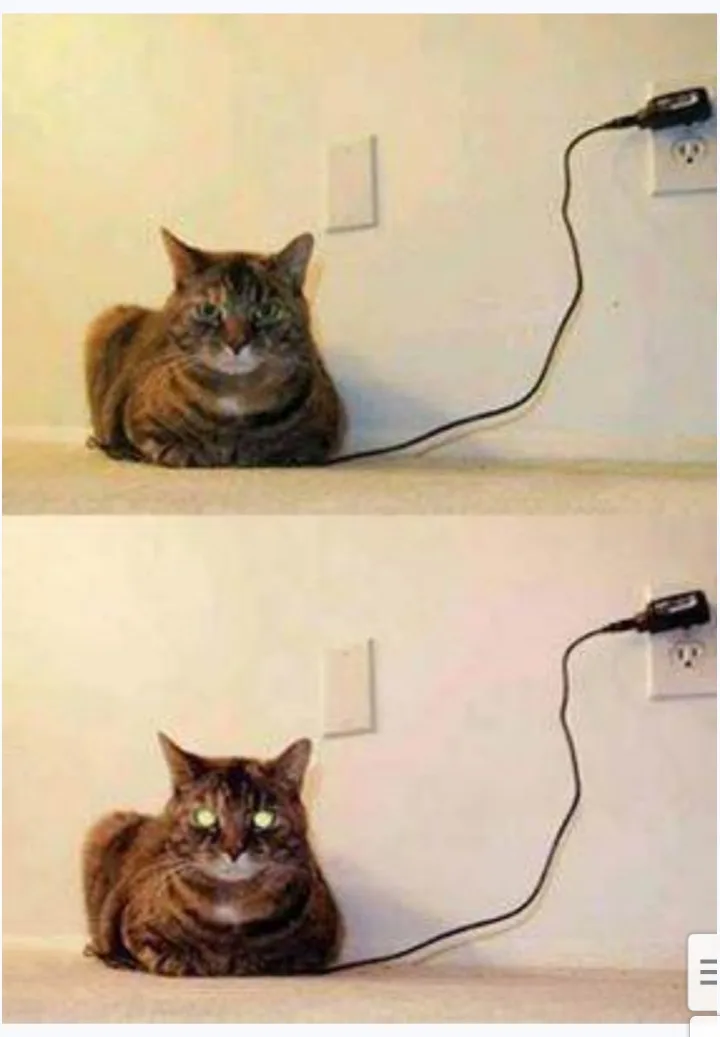 Pikachu's electric charm strikes again!
