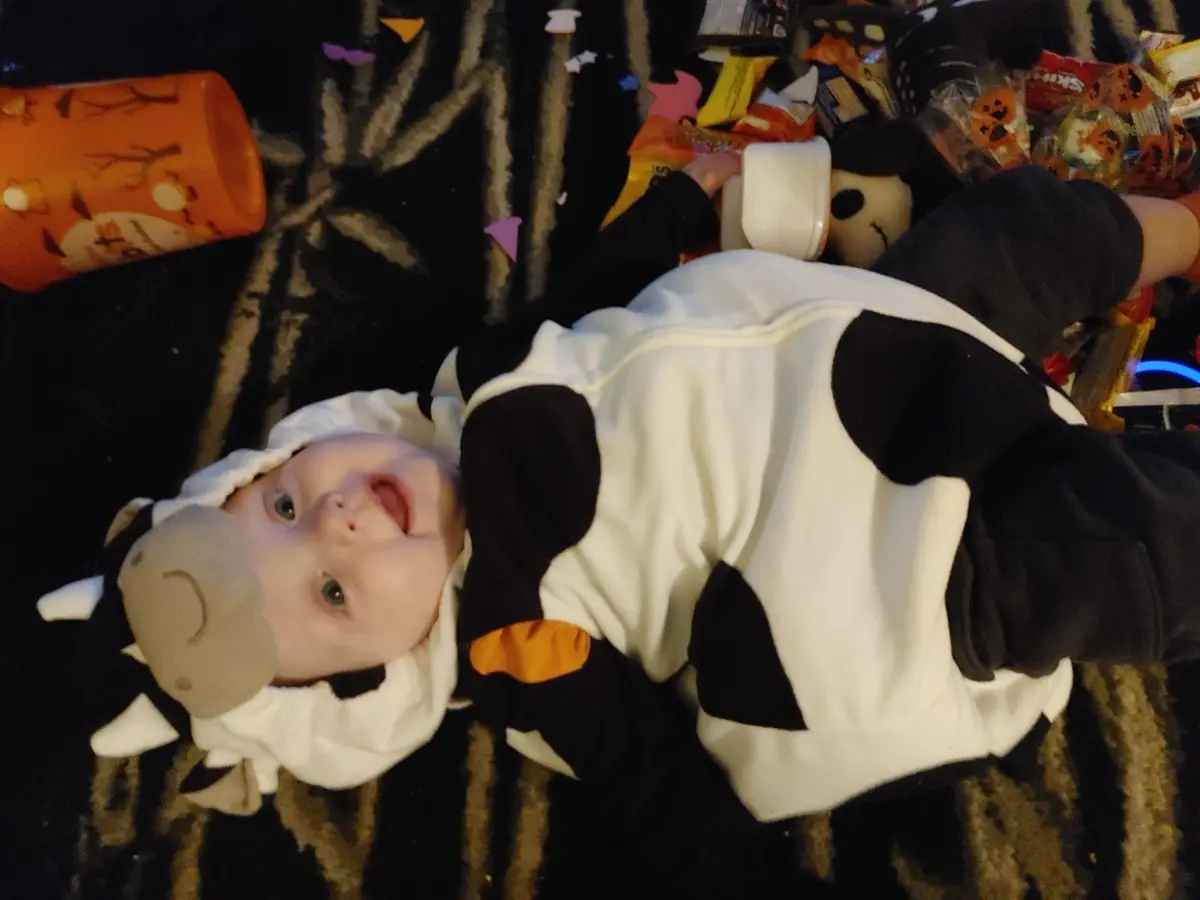 A baby wearing a black-and-white cow costume with a cow headpiece lies on a patterned rug, surrounded by Halloween candy and…