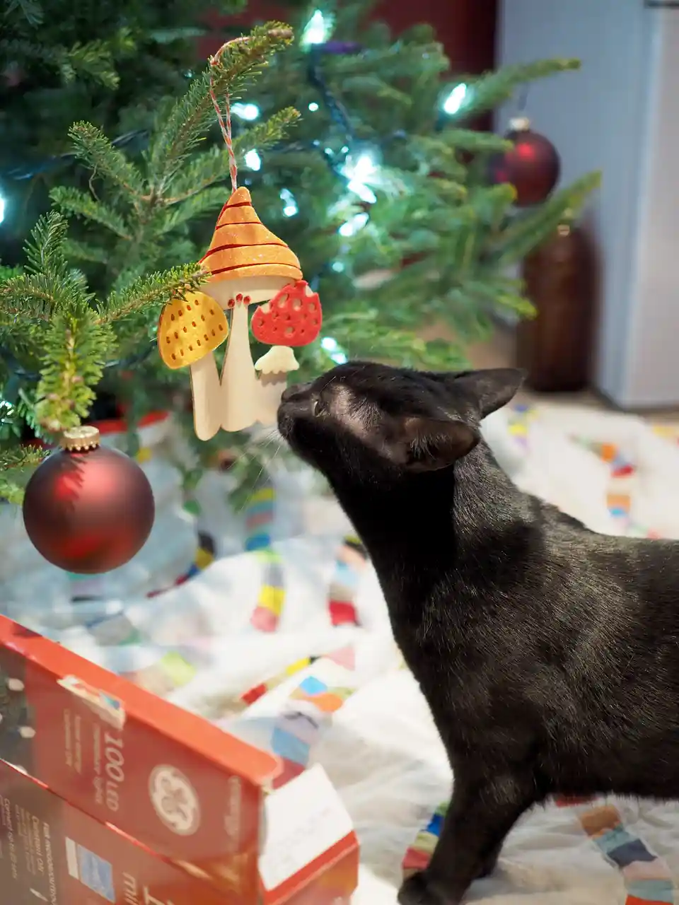 Wishing You a Merry Christmas from Silvring!