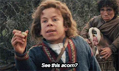 A six-panel comic strip from the movie 'The Princess Bride' showing a young boy holding an acorn and dramatically…