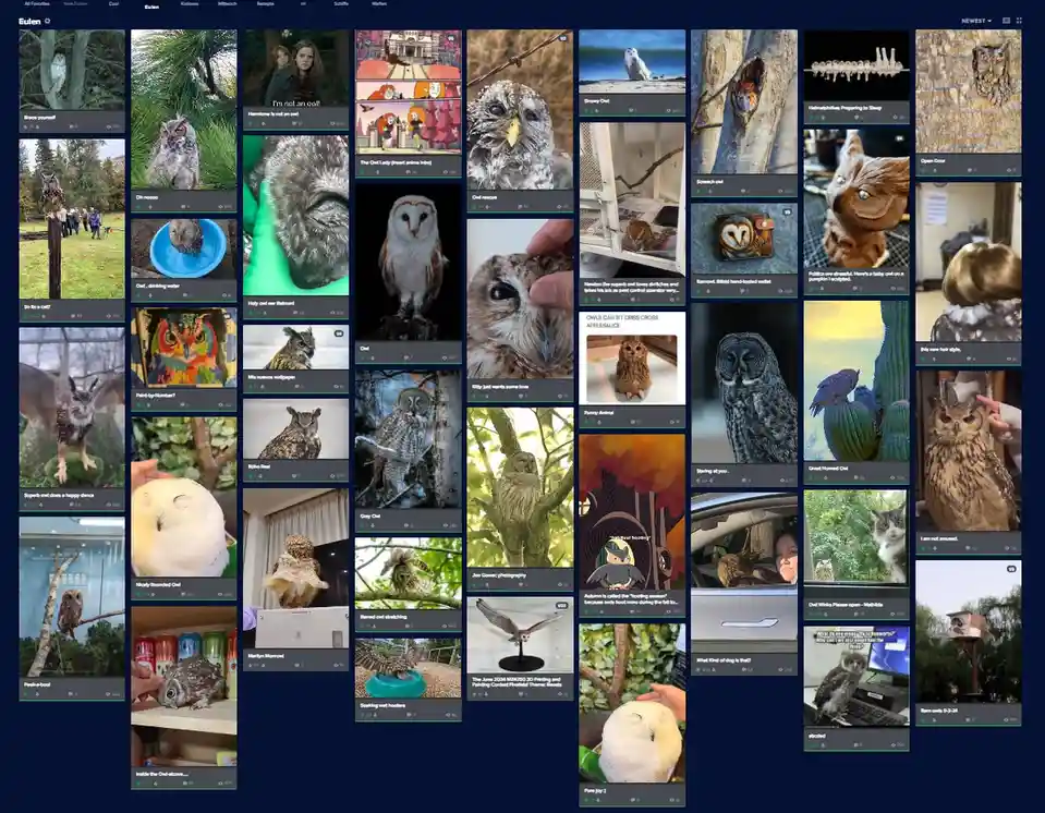 A screenshot of a digital photo gallery titled 'Eulen' (German for owls) displays numerous owl images, including photos of…