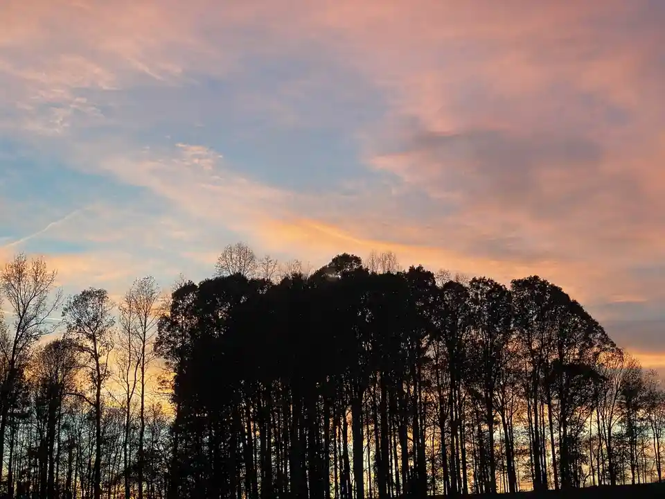 Look at This Stunning Evening Sky!