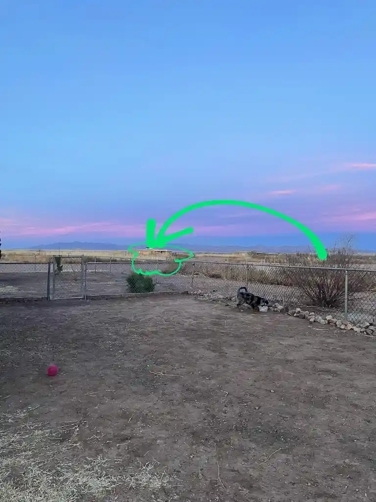 A dog is in a fenced backyard at dusk, with a pink ball on the ground. A large green arrow points from the sky to a distant…