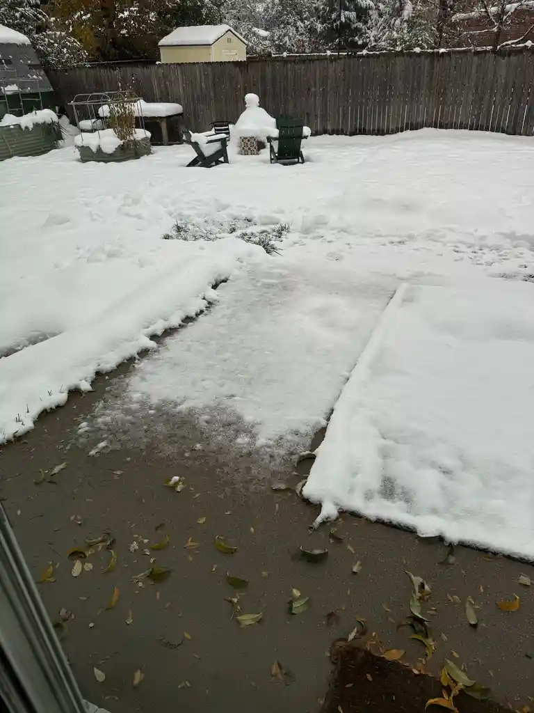 A snowy backyard with a cleared concrete walkway in the foreground, surrounded by deep snow covering chairs, planters, and…