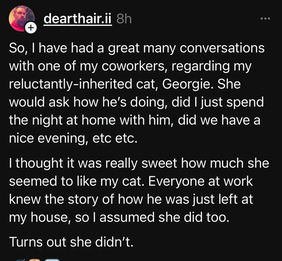 Meet Georgie, the Adorable Cat!
