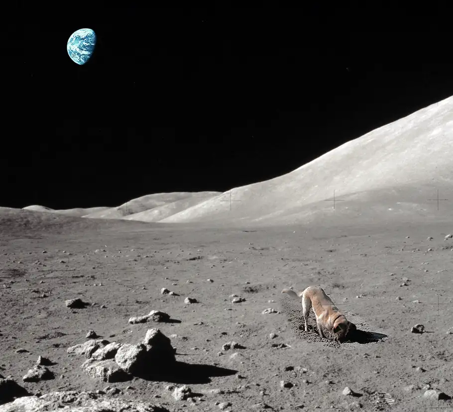 A composite image of six panels showing a dog on the moon's surface, looking down at the ground, with Earth visible in the…