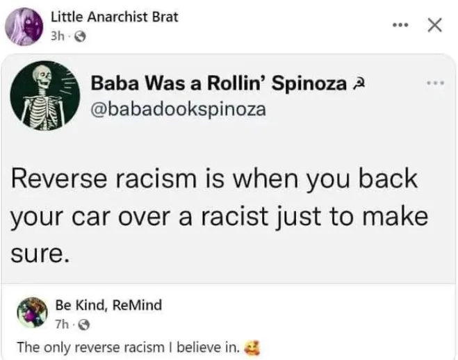 A screenshot of a Twitter thread shows a user named 'Baba Was a Rollin’ Spinoza' posting that 'Reverse racism is when you…