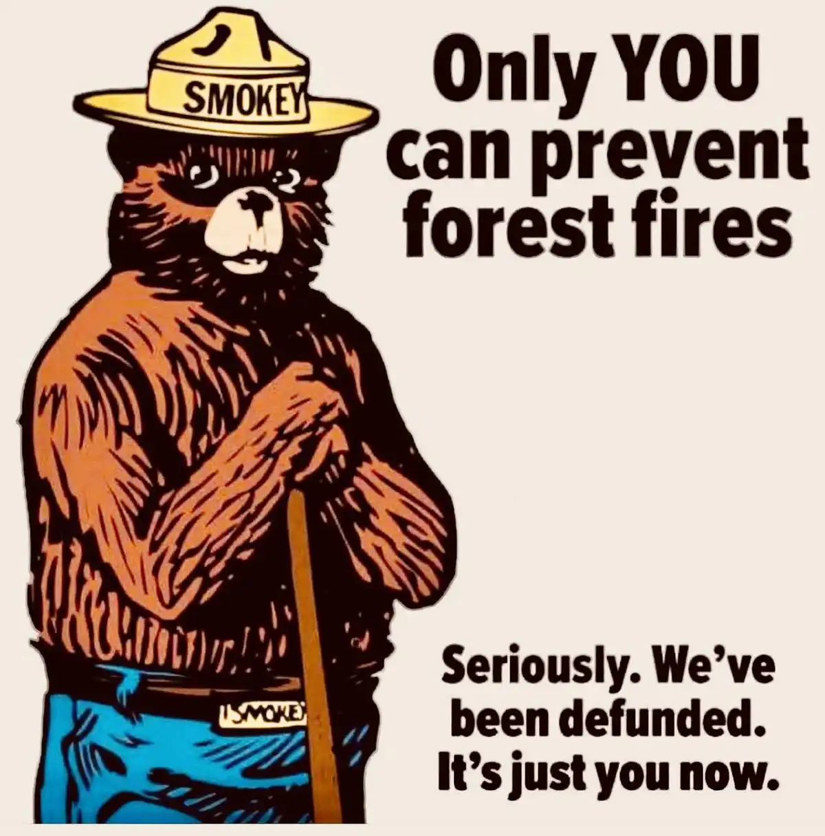 Looks like the forests are calling for some dedicated protectors!