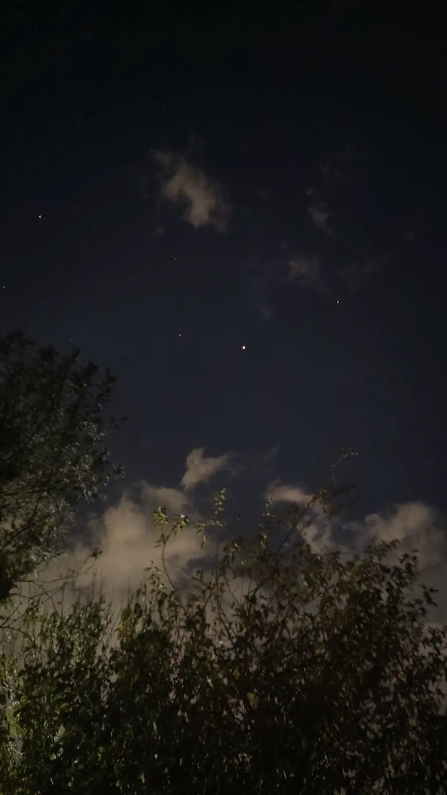 Gazing at a Stunning Night Sky
