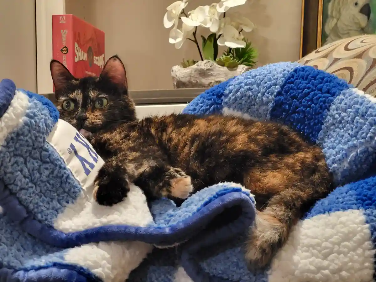 Meet my adorable, fuzzy little companion!