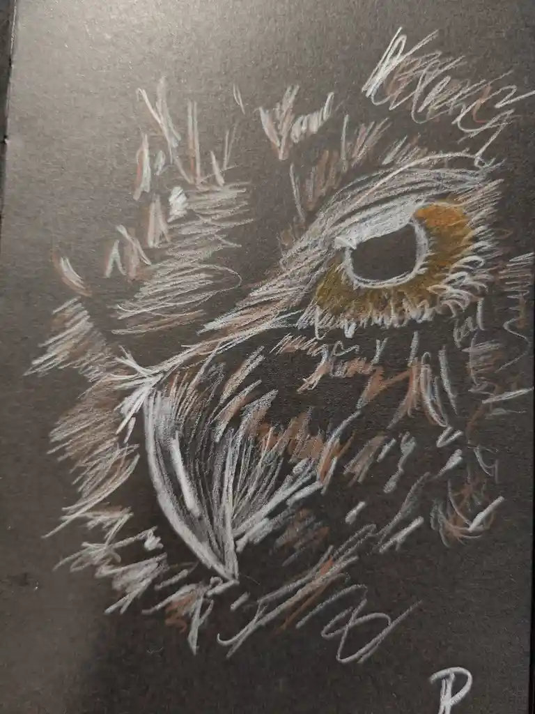 The Majestic Owl: Nature's Wise Creature