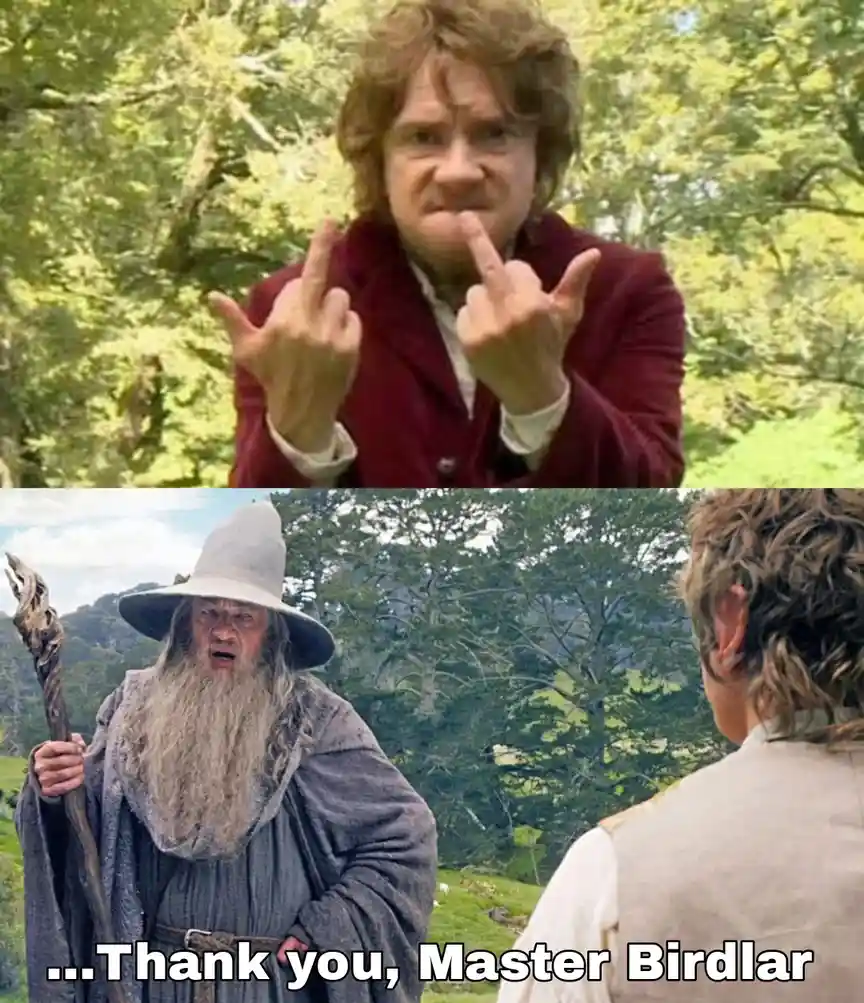 Top panel: A man with curly hair in a red coat makes an obscene gesture with both hands. Bottom panel: Gandalf the Grey…