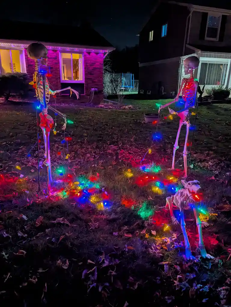 Two full-sized plastic skeletons and a smaller skeleton dog are standing in a grassy yard at night, tangled in and holding…
