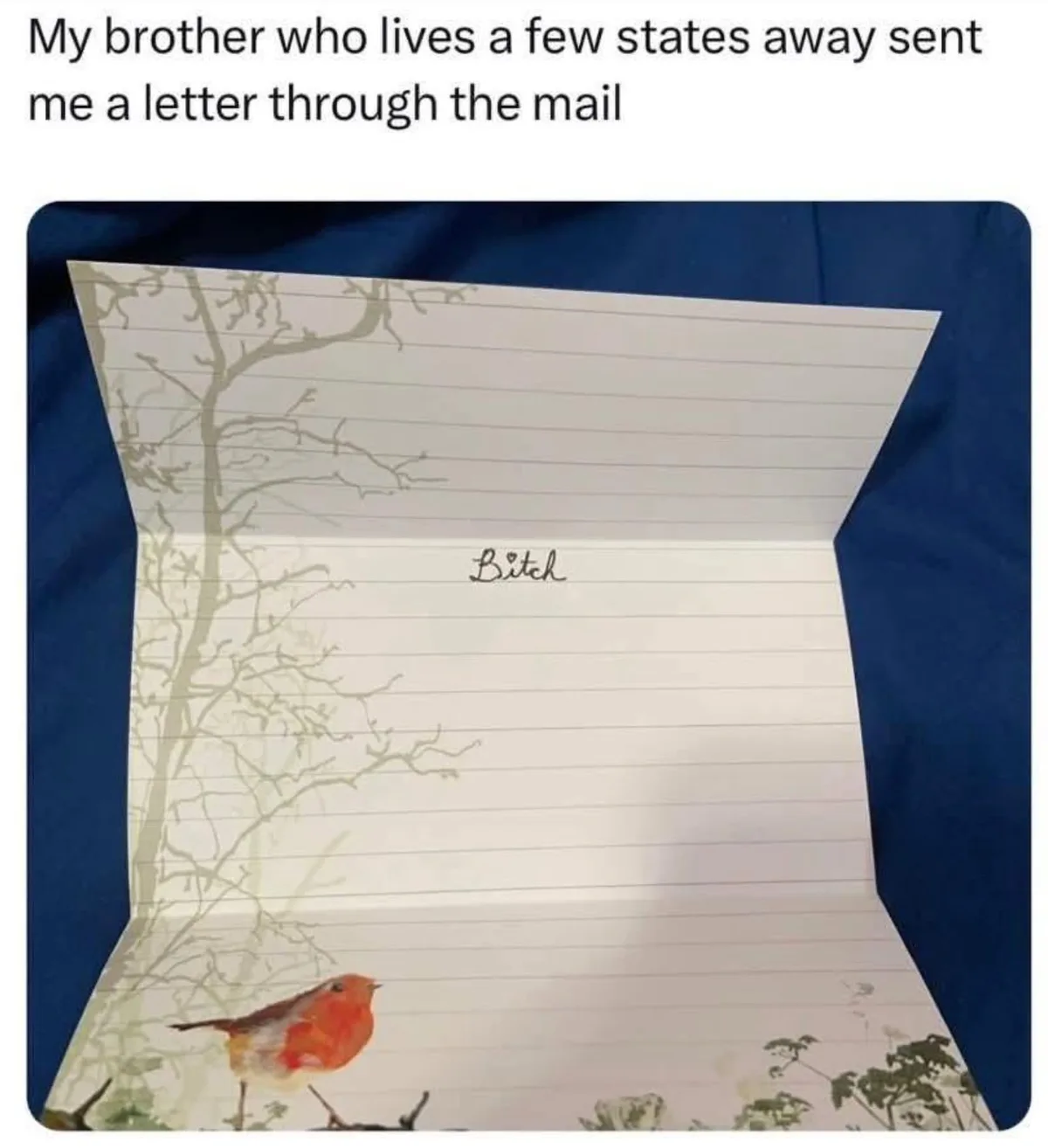 A folded letter with lined paper and a nature-themed design featuring a tree and a robin is shown open, revealing only the…