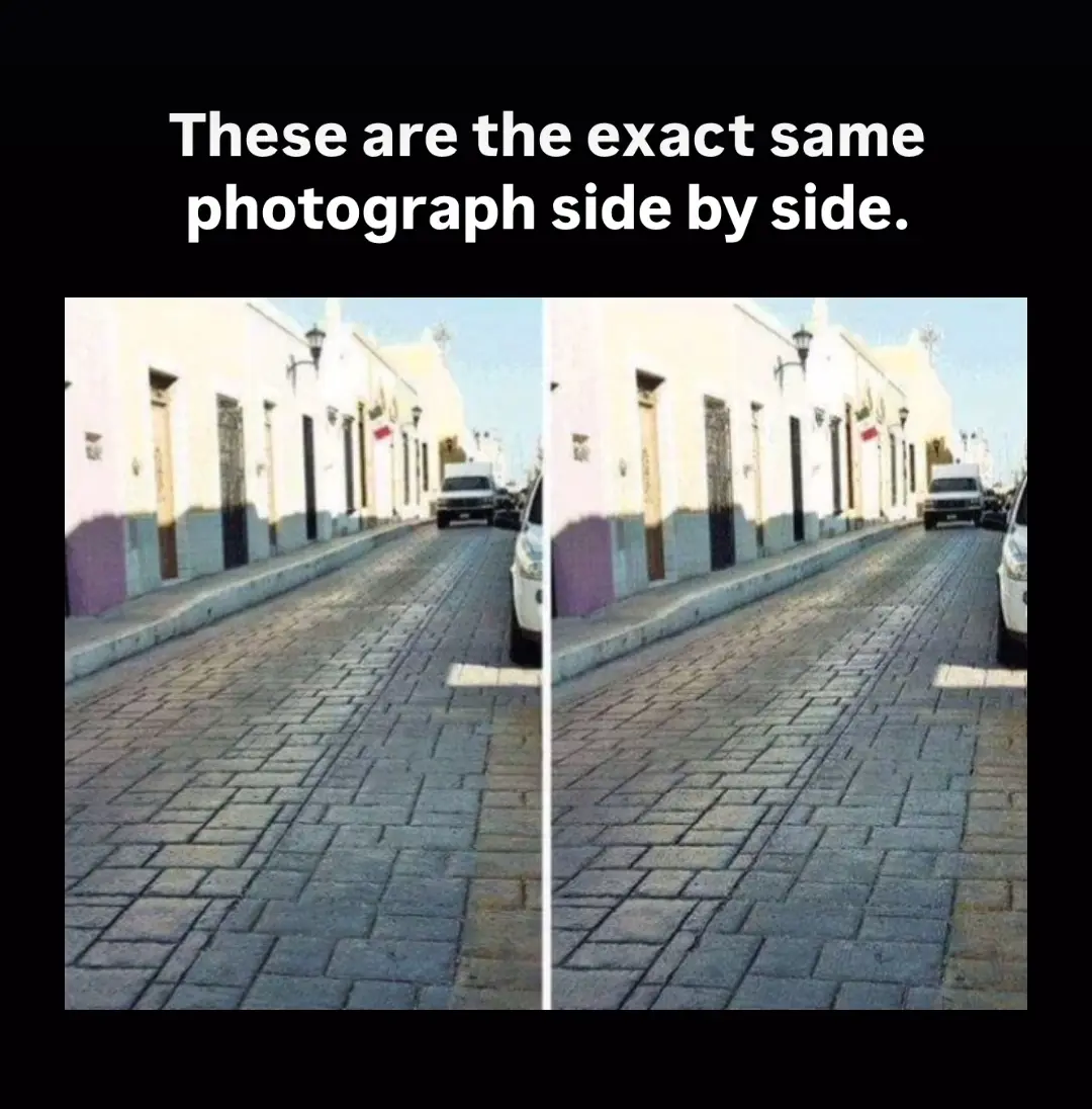 Wait, What Just Happened?