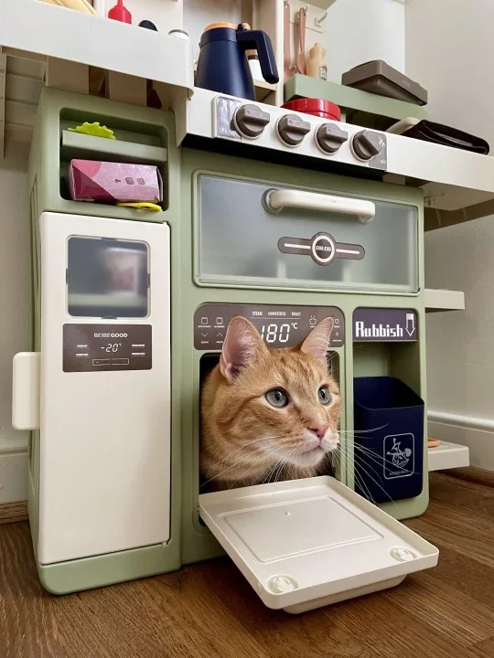 Freshly Baked Loaf: The Perfect Culinary Achievement