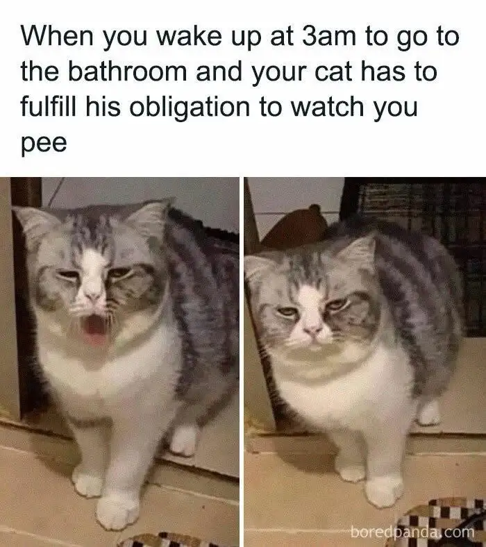 Please, Just Don't Do It
