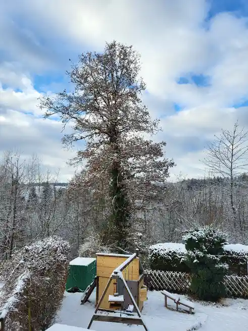 A snowy backyard scene features a tall, bare tree with some brown leaves and ivy, a wooden playhouse with a swing…