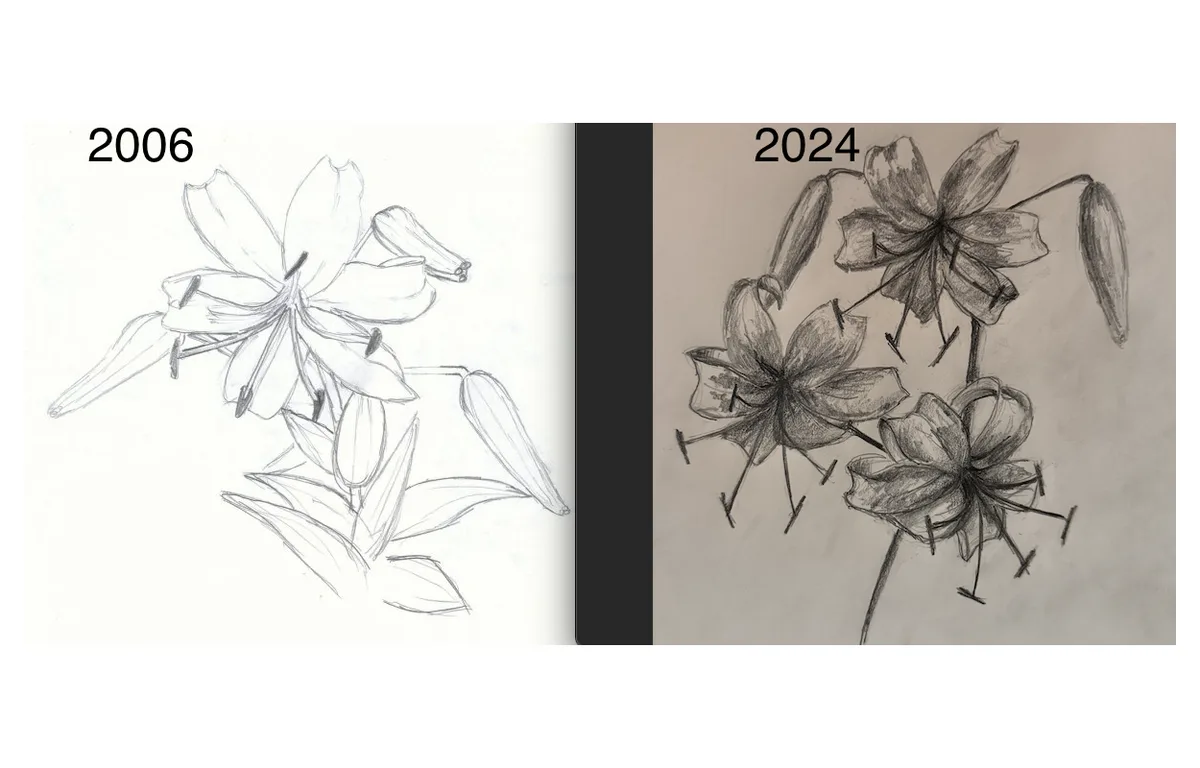 The image displays two side-by-side pencil sketches of lilies, labeled '2006' on the left and '2024' on the right. The 2006…