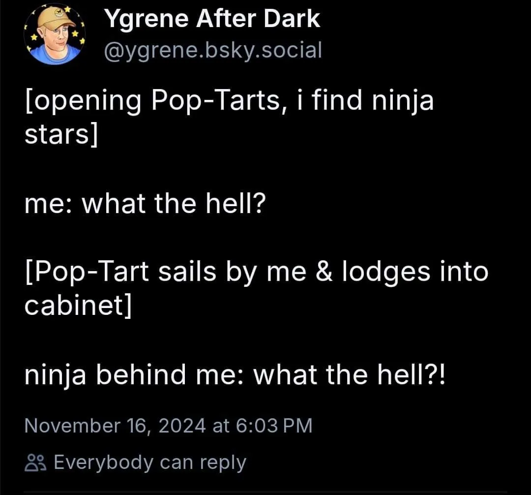Ninjas really need to watch their step!