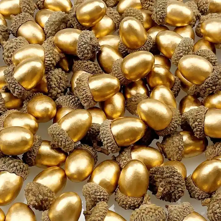 Let's Rally for Team Acorns!