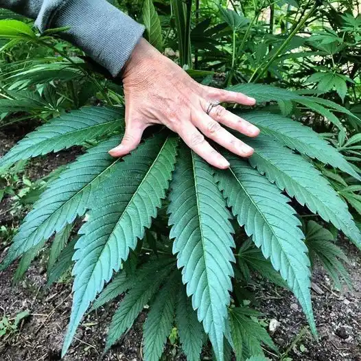Tiny hands, big heart!