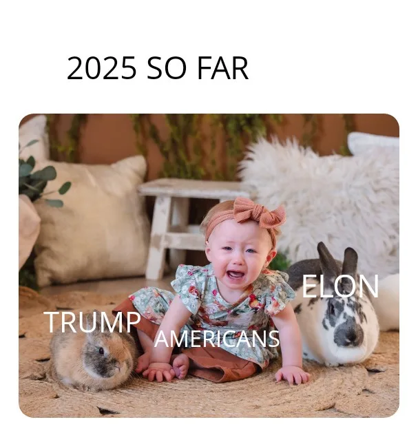 A crying baby girl sits on a rug surrounded by two rabbits, with text overlaid: '2025 SO FAR' above, 'TRUMP AMERICANS' to…