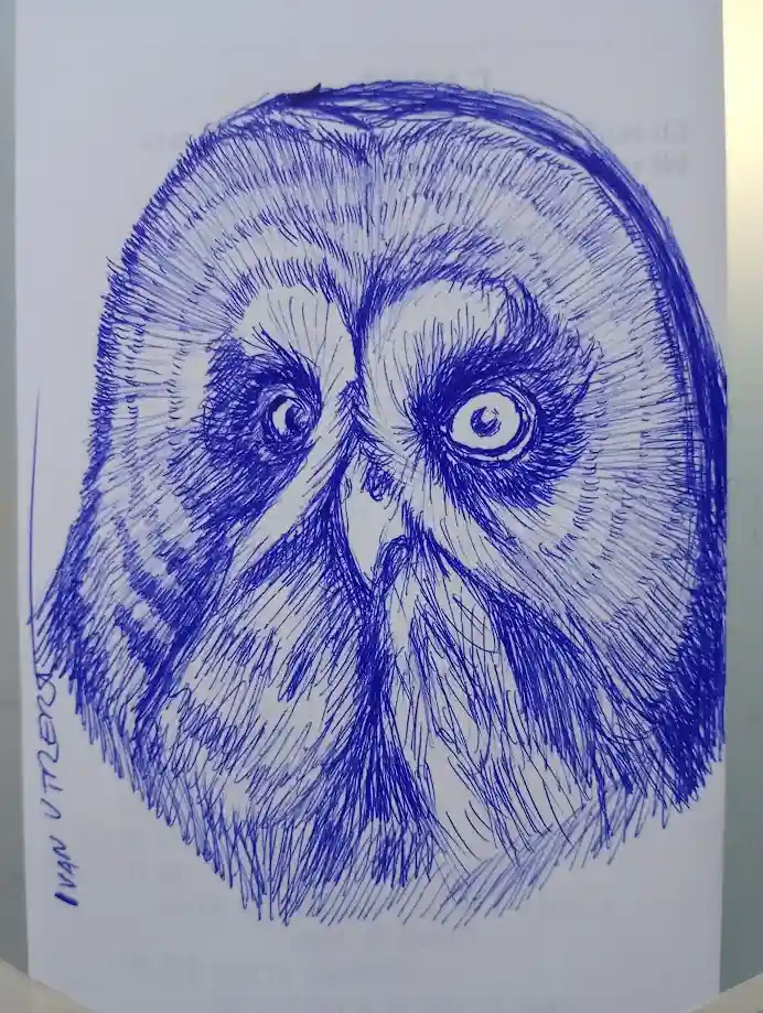A detailed blue ink drawing of an owl's face on white paper, with one eye looking normal and the other eye appearing wide…