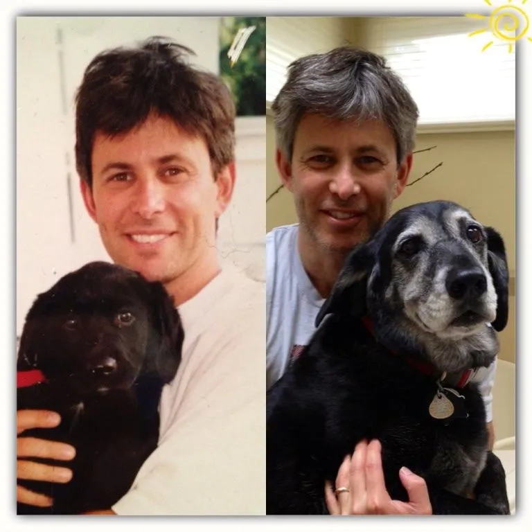 A side-by-side photo shows a man holding a young black puppy on the left and the same man holding an older, grey-faced black…