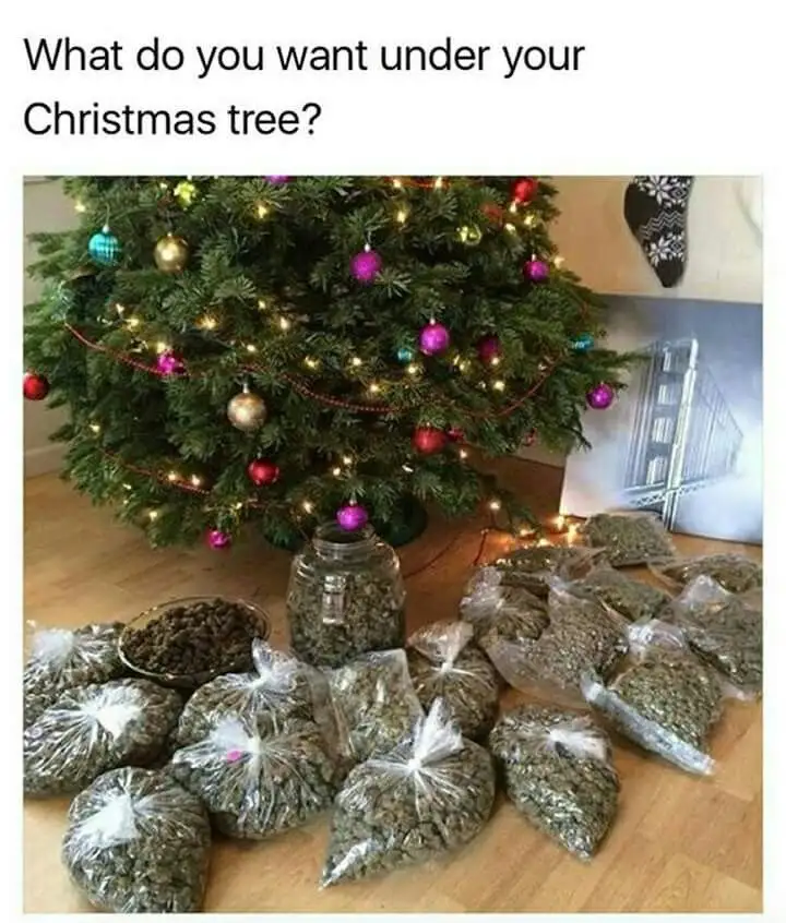 A Tiny Collection of Legally 'Acquired' Memes