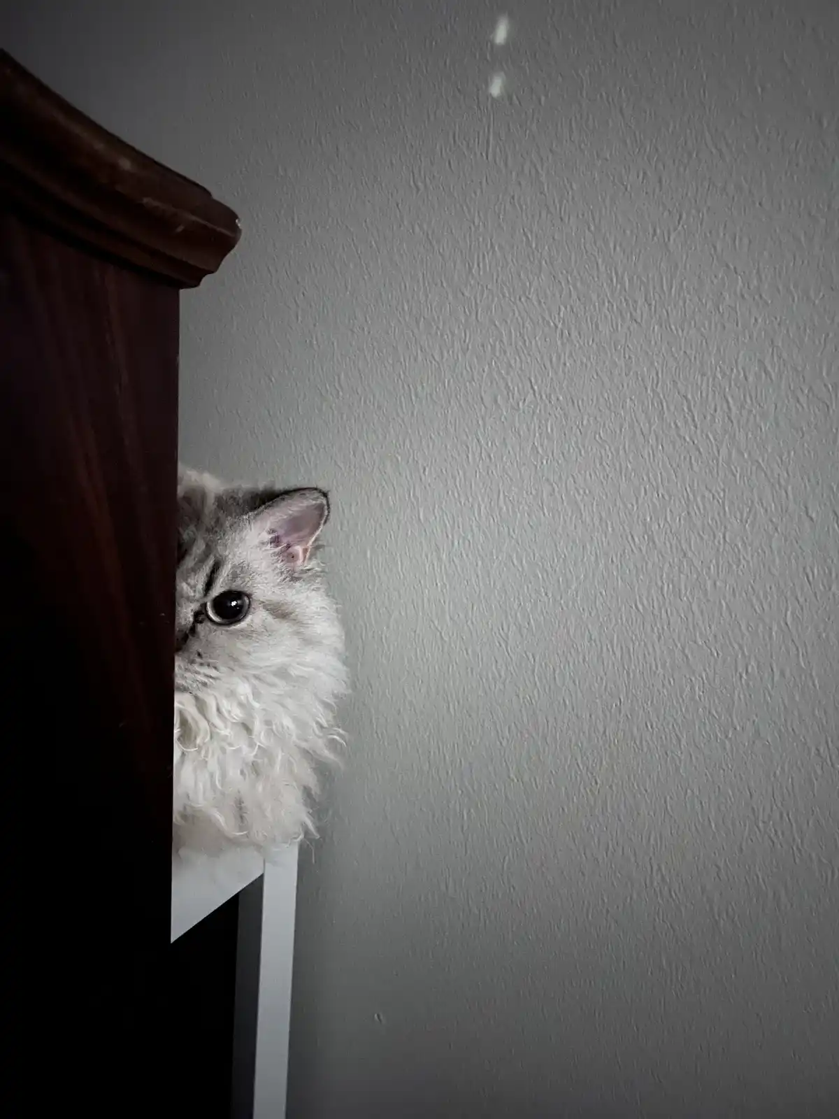Greetings, Human! Let's Connect.