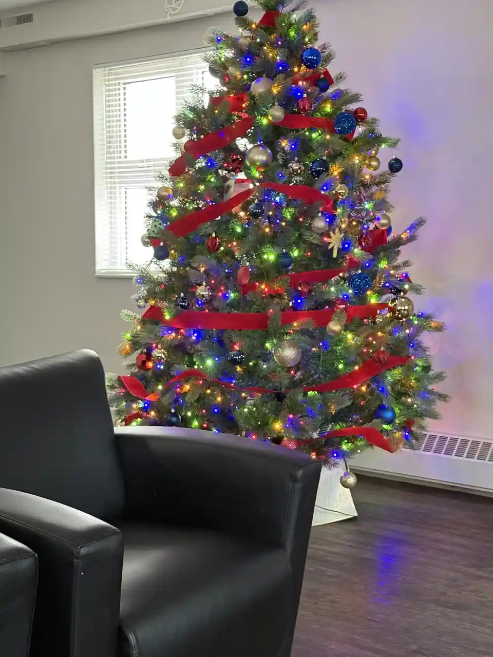 A brightly lit, heavily decorated Christmas tree with red ribbons and colorful ornaments stands in a room next to a black…