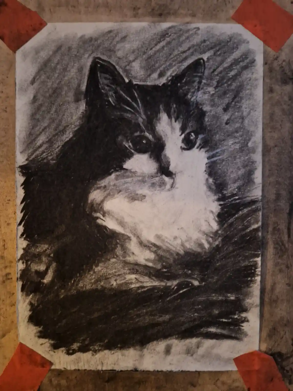 A Charcoal Portrait of a Kitty