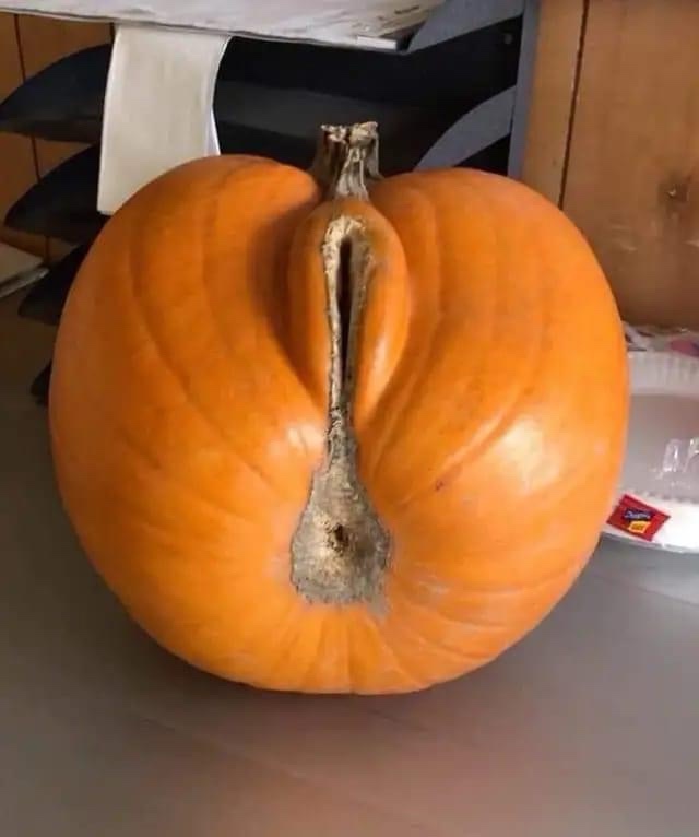 Happy Hideaween: A Twist on Halloween Fun!