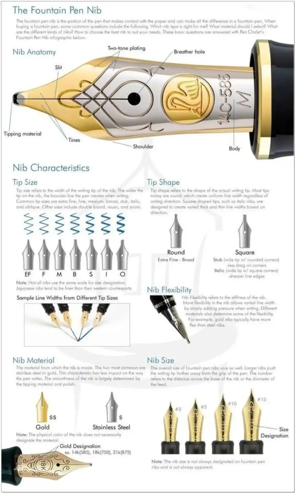 An infographic detailing fountain pen nib anatomy and characteristics, showing labeled parts like slit, tines, and breather…