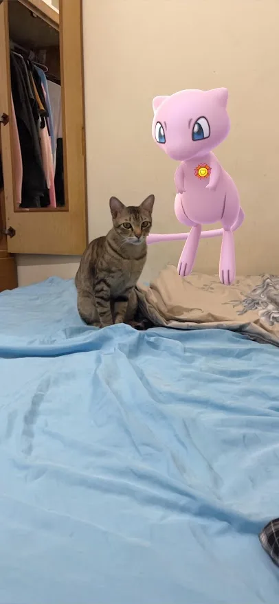 A real tabby cat sits on a rumpled blue bedsheet, looking directly at the camera, while a pink, cartoonish Mewtwo Pokémon…