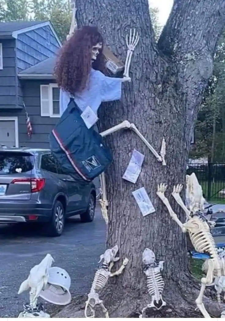 A Halloween decoration shows a skeleton with curly brown hair and a blue messenger bag climbing a large tree, with several…