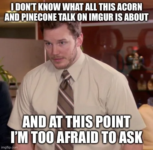 Is that an acorn or a pinecone? I'm confused!