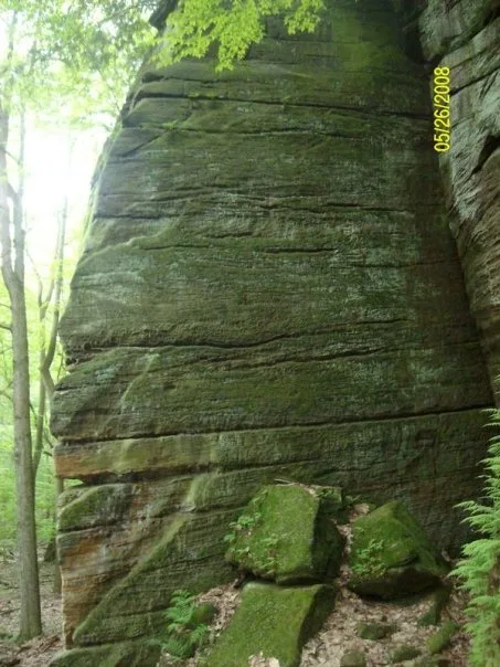 A tall, moss-covered rock face in a forest with horizontal striations, overlaid with the text 'i'm not a rock, i'm a rock'…