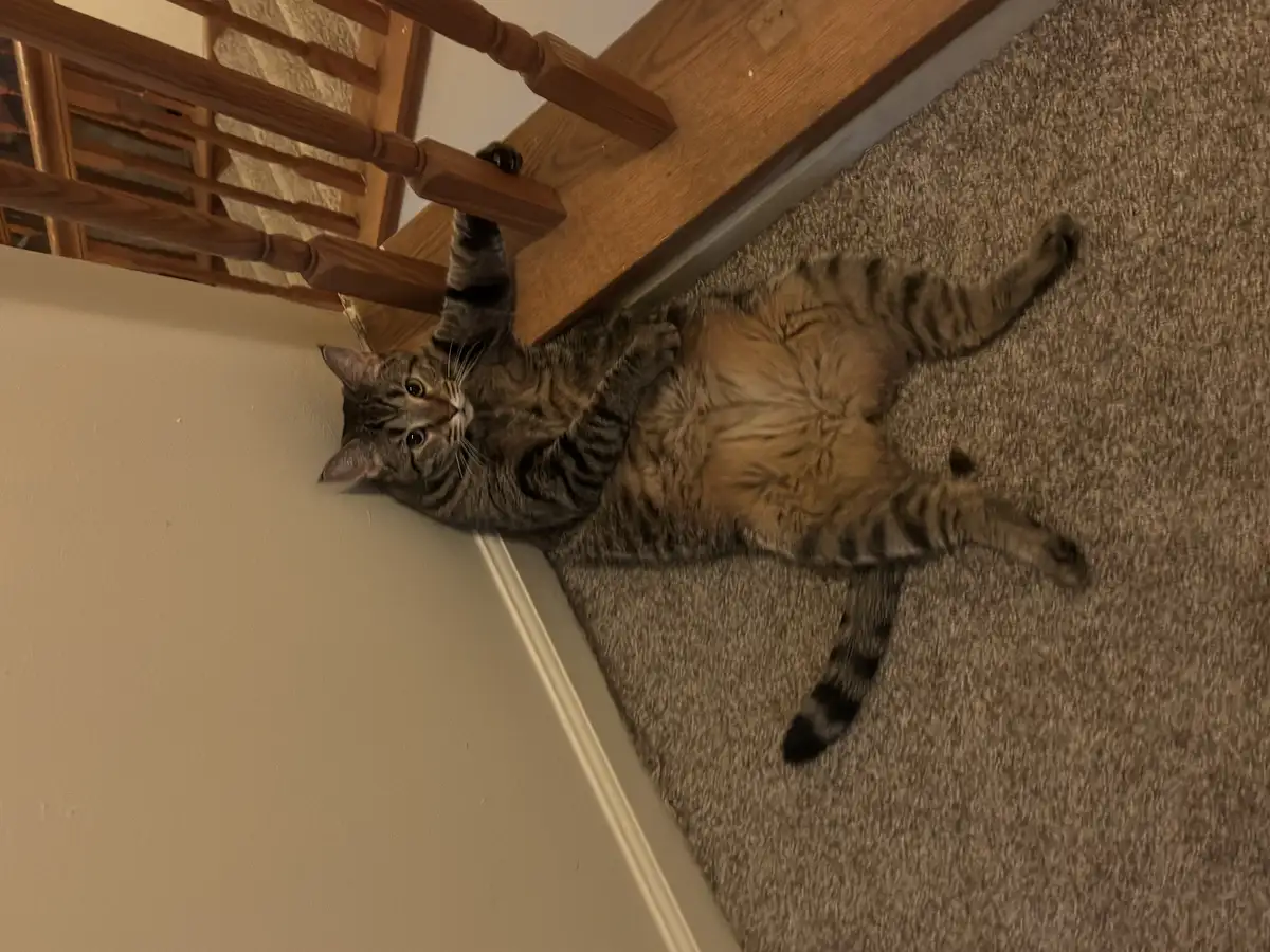 Penelope's Quirky Charm