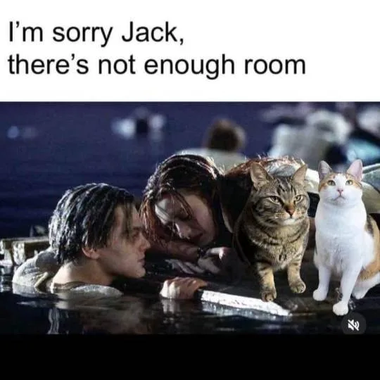 Two people are in water, one leaning over the other who is holding a knife. Two cats are standing on the surface next to…