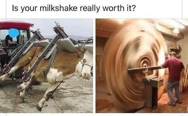 The image is split into two panels. Left: A cow is strapped to a tractor with mechanical arms, appearing to be milked or…