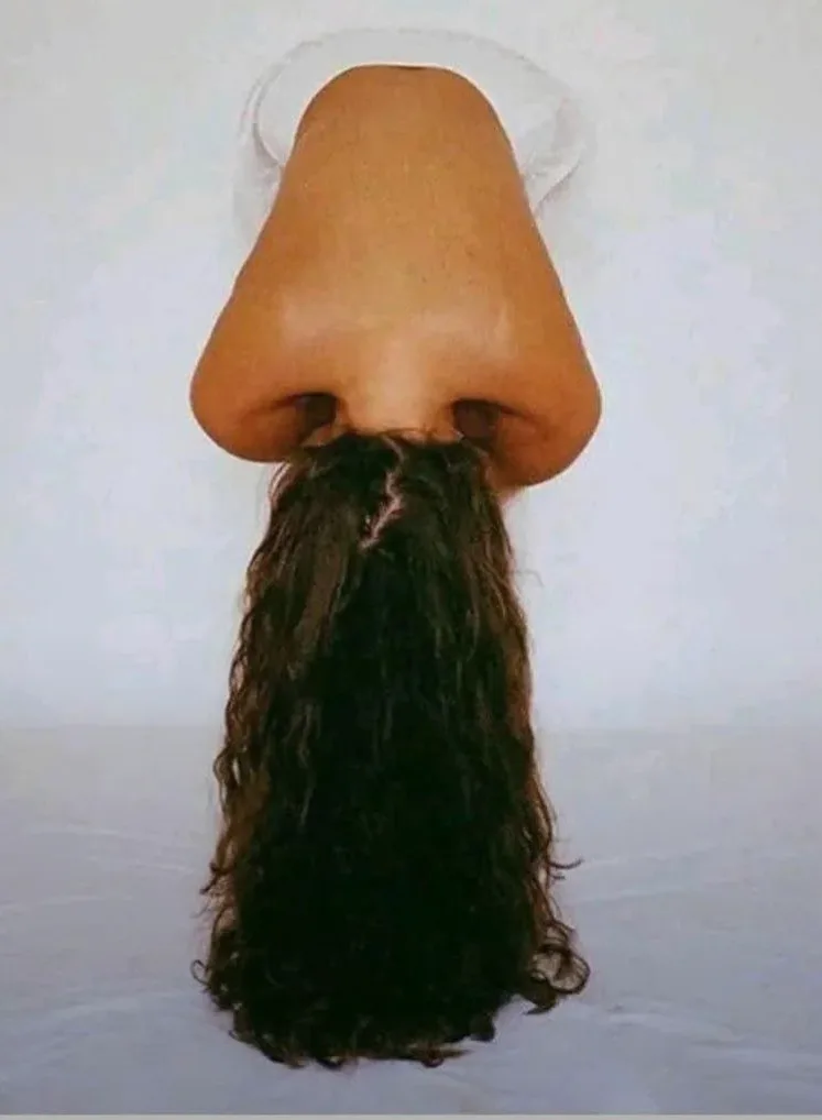 A large, realistic human nose is shown upside down, with a long, dark, curly wig attached to its nostrils, creating the…